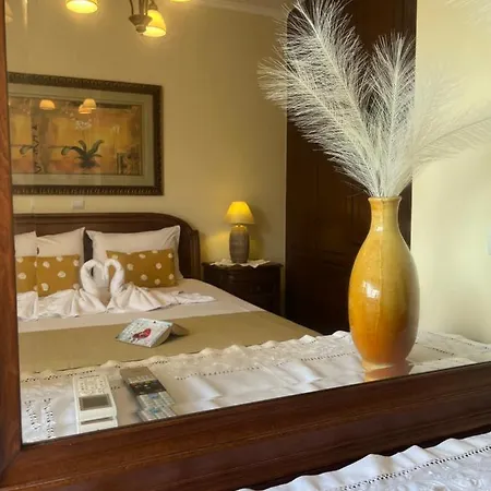 Olive De Agios Dimitrios (Zakynthos)